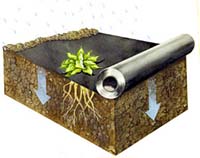 Gartenvlies ist ein umweltfreundliches Mittel zur Unkrautbekämpfung, Foto: Plantex® Gartenvlies